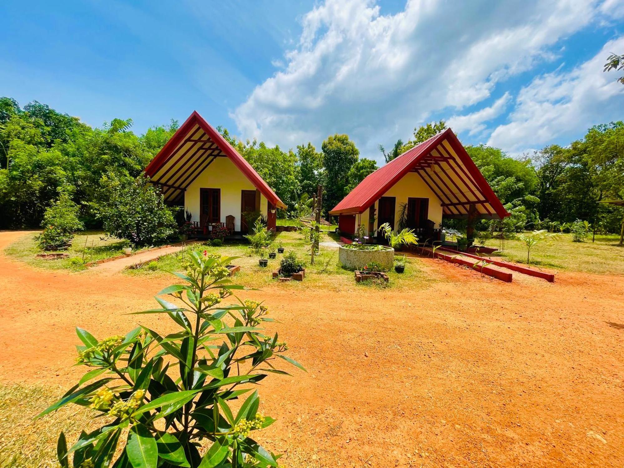 Sigiri Enaya Cottage Sigiriya Exterior foto